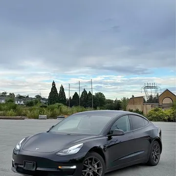 2019 Tesla Model 3 Standard Range