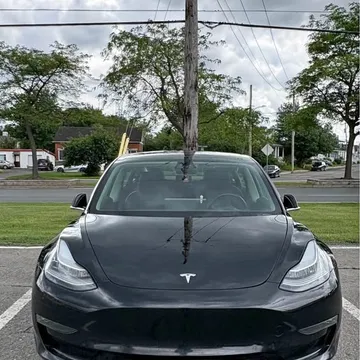2019 Tesla Model 3 Standard Range Plus