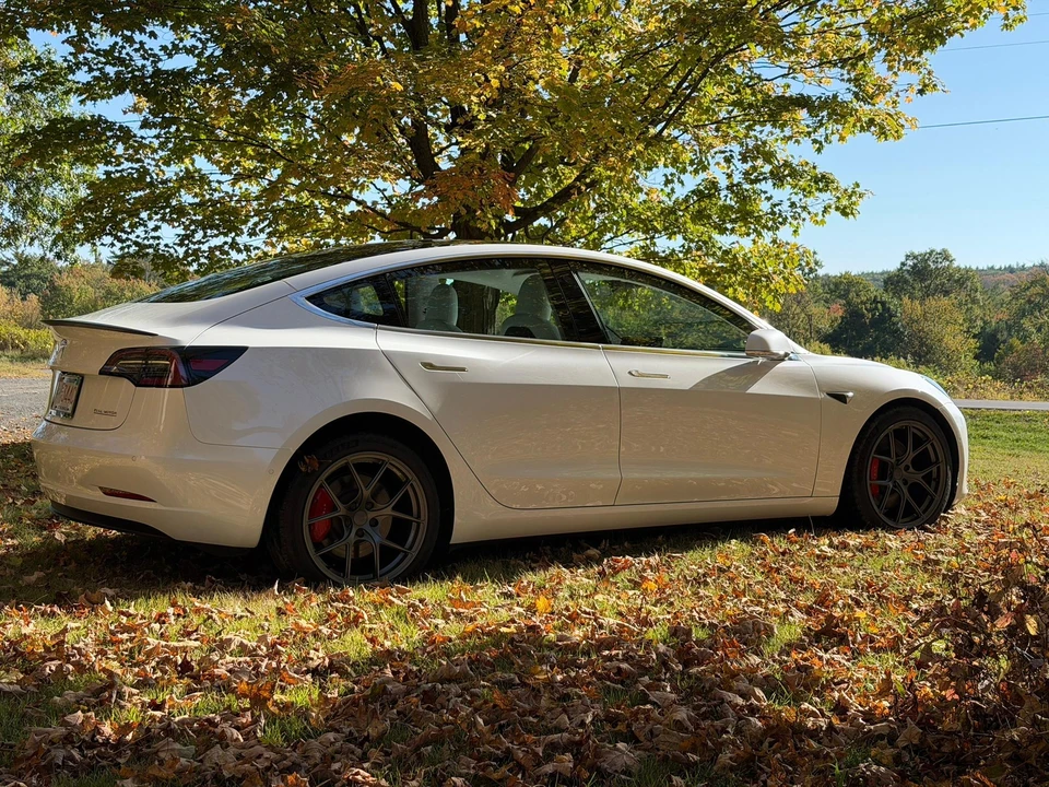 2019 Tesla Model 3 Performance - Image 21 of 31