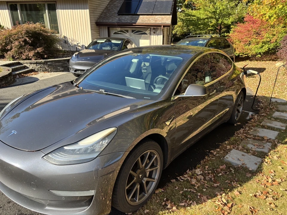 2019 Tesla - Image 2 of 12