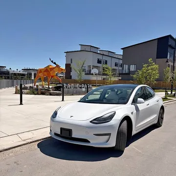 2019 Tesla Model 3 Standard Range Plus