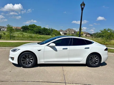2019 Tesla Model S Standard Range Raven