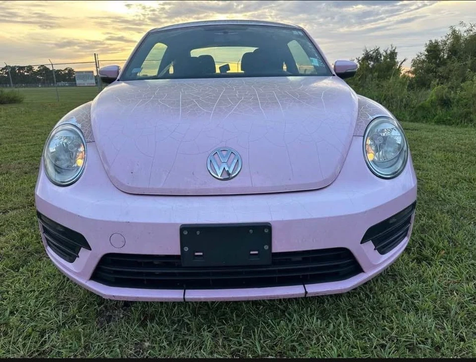 2019 Volkswagen A5 Beetle - Image 5 of 11