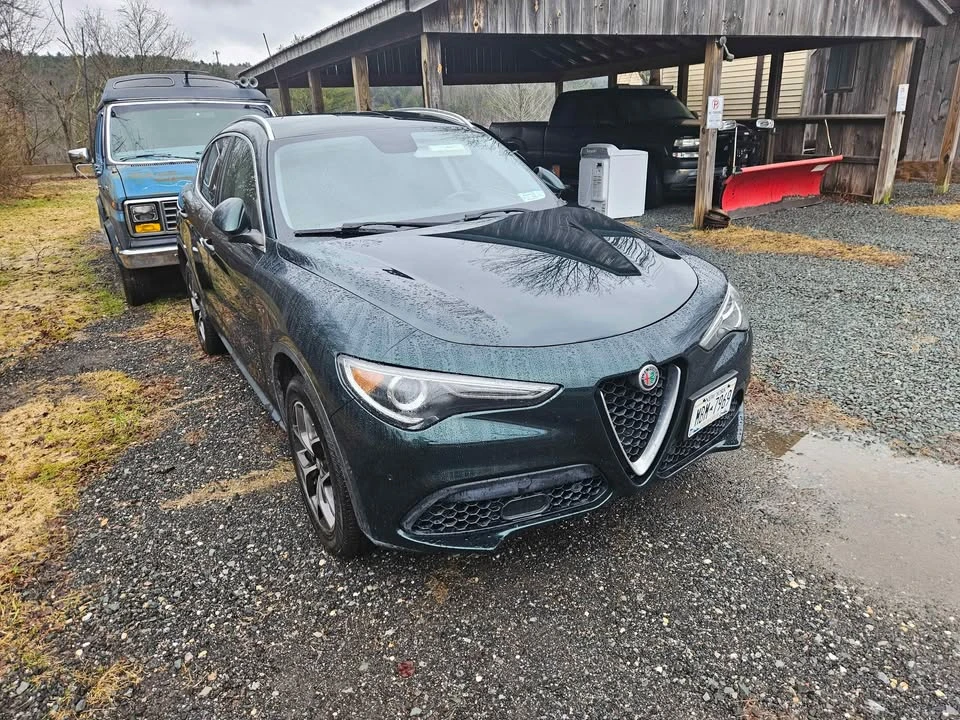 2019 Alfa Romeo Stelvio - Image 5 of 8