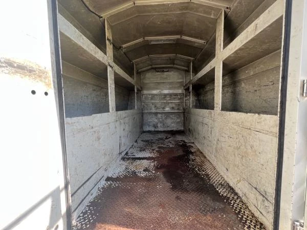 2019 Isuzu Elf - Image 11 of 11