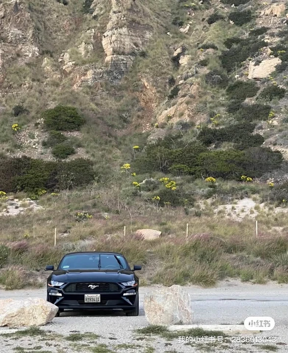 2019 Ford S550 Mustang - Image 4 of 7