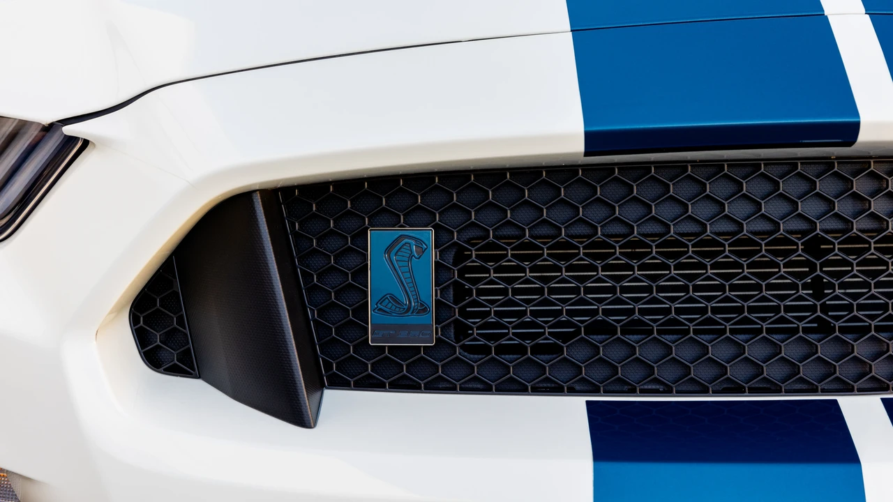 2020 Ford S550 Shelby Mustang GT350R - Image 22 of 31