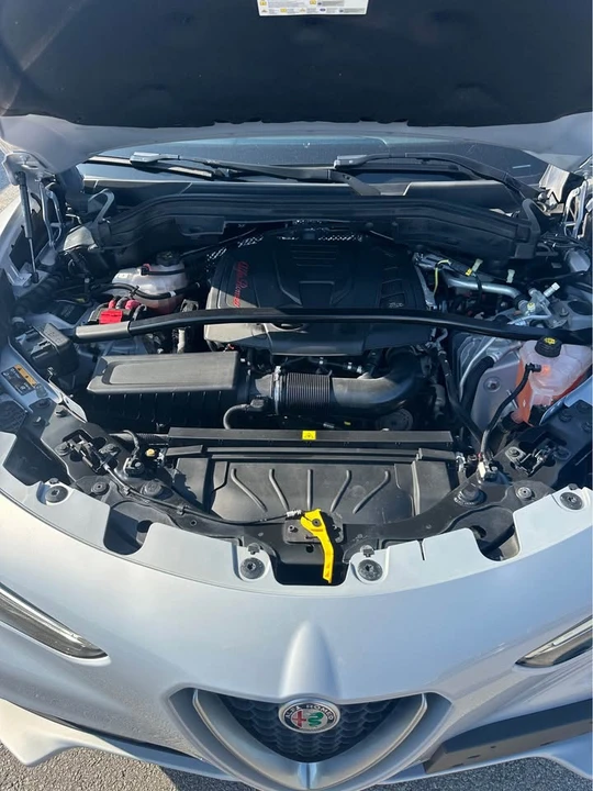 2020 Alfa Romeo Stelvio - Image 19 of 19
