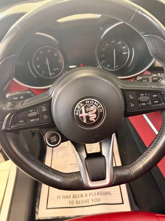 2020 Alfa Romeo Stelvio - Image 19 of 20