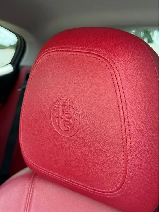 2020 Alfa Romeo Stelvio - Image 16 of 17