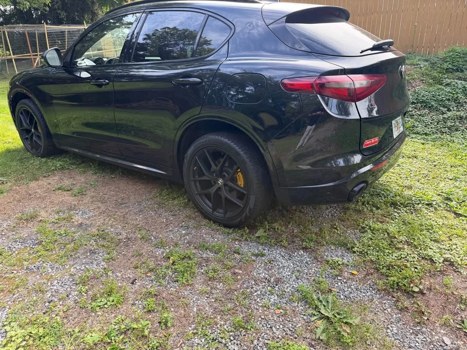 2020 Alfa Romeo Stelvio - Image 4 of 18