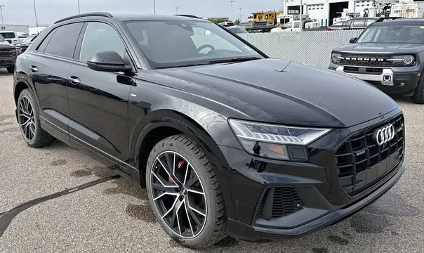 2020 Audi Q8 Technik