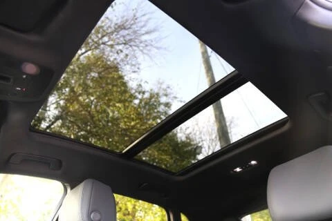 2020 Audi F3 Q3 - Image 12 of 12