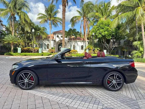 2020 BMW 2 Series 230i Convertible