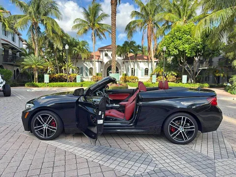 2020 BMW 2 Series 230i xDrive Convertible
