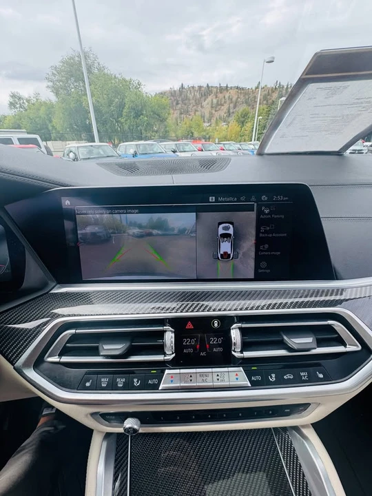 2020 BMW G06 X6 - Image 13 of 13
