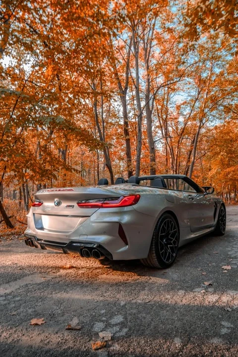 2020 BMW M8 - Image 10 of 19