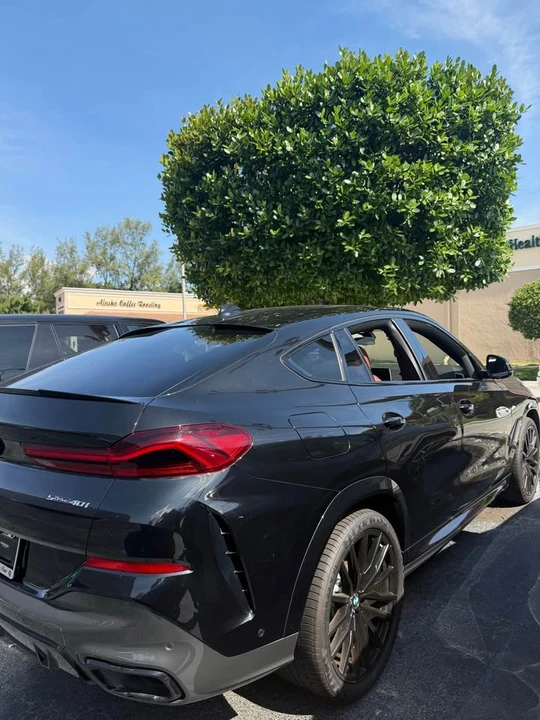 2020 BMW G06 X6 - Image 6 of 17