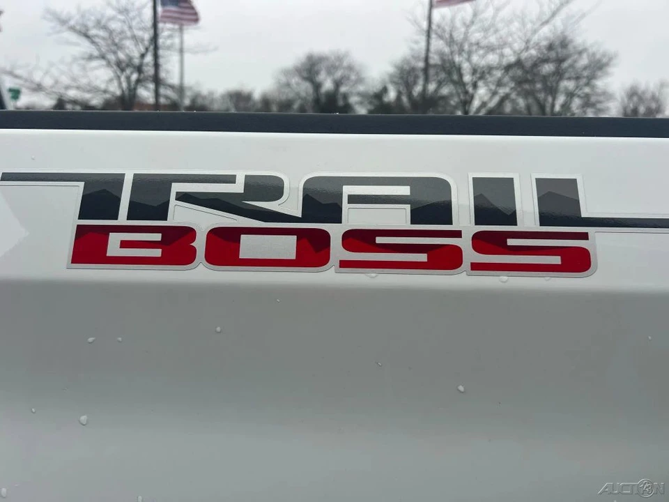 2020 Chevrolet Silverado 4th Gen - Image 13 of 21