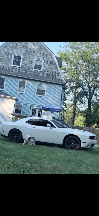 2020 Dodge Challenger 3rd Gen - Image 3 of 3
