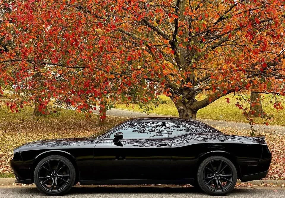 2020 Dodge Challenger 3rd Gen - Image 8 of 8