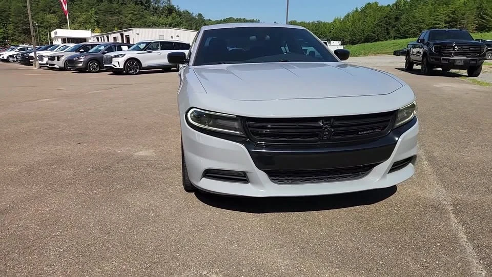 2020 Dodge Charger 7th Gen - Image 16 of 20
