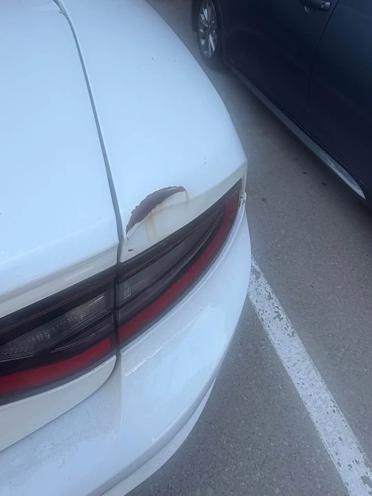 2020 Dodge Charger 7th Gen - Image 9 of 10