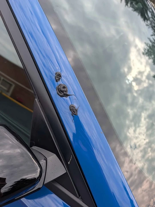 2020 Dodge Charger 7th Gen - Image 14 of 19