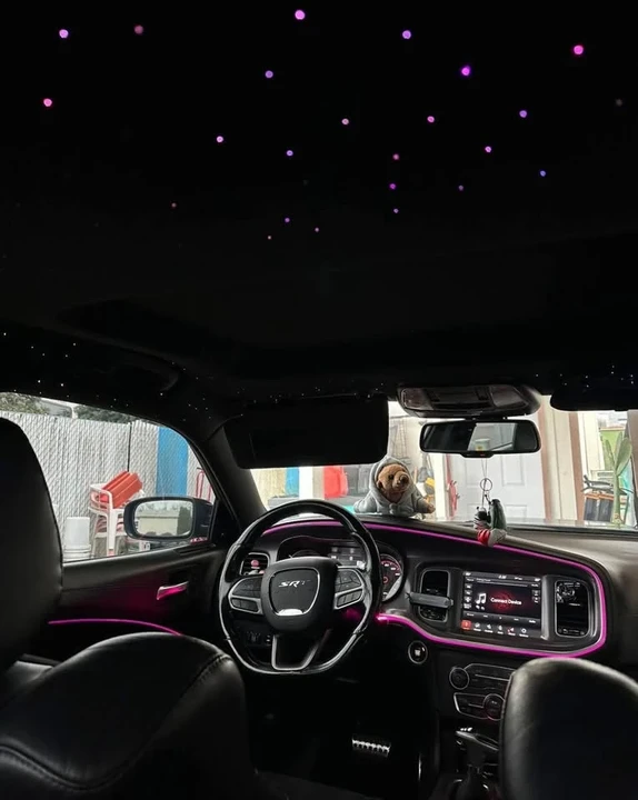 2020 Dodge Charger 7th Gen - Image 13 of 14