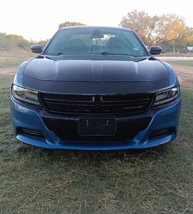 2020 Dodge Charger 7th Gen - Image 2 of 9
