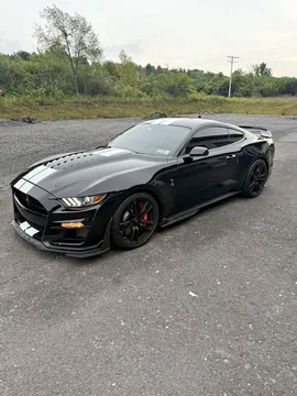 2020 Ford GT 500