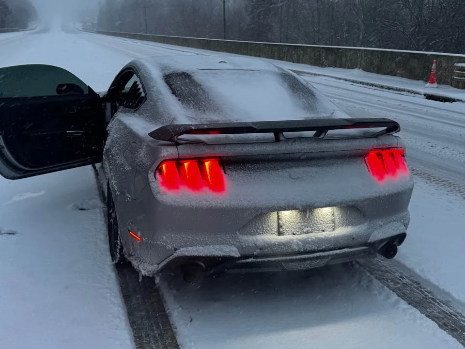 2020 Ford S550 Mustang - Image 4 of 8