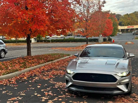 2020 Ford Mustang Coupe 2D