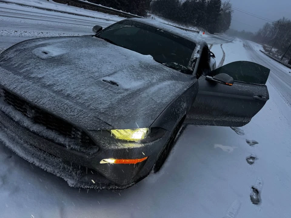 2020 Ford S550 Mustang - Image 3 of 8