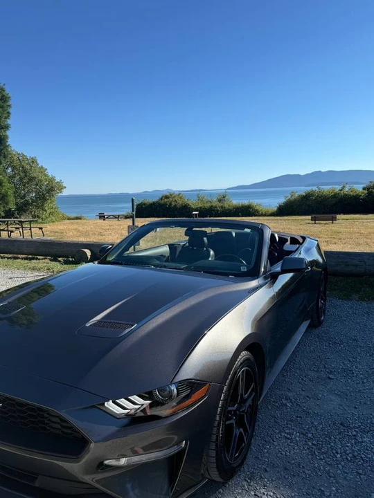 2020 Ford S550 Mustang - Image 16 of 21