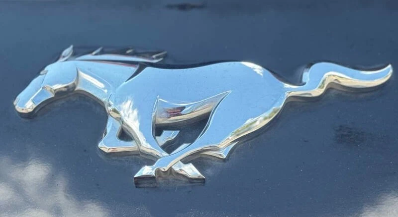 2020 Ford S550 Mustang - Image 15 of 16