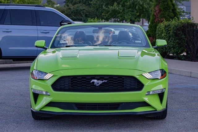 2020 Ford S550 Mustang - Image 2 of 20