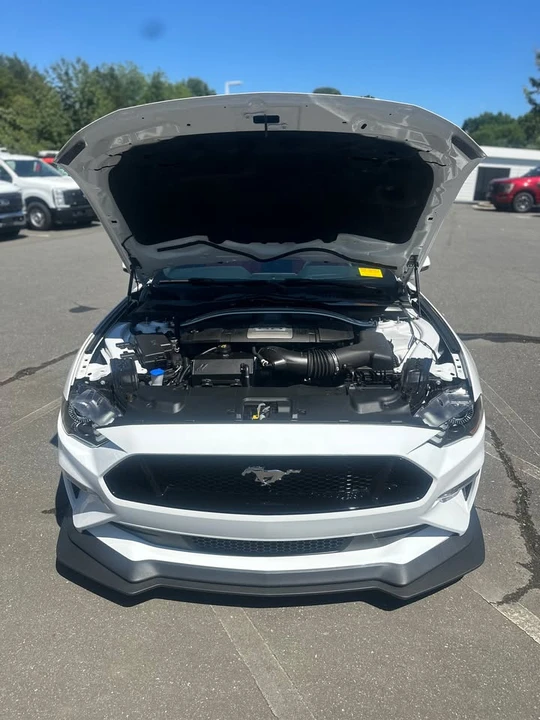 2020 Ford S550 Mustang GT - Image 13 of 20