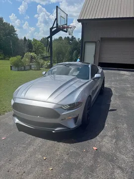 2020 Ford Mustang GT Coupe 2D