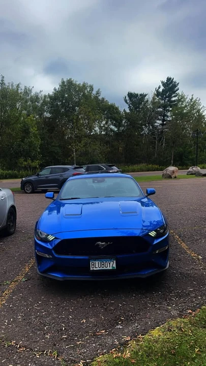 2020 Ford S550 Mustang - Image 7 of 7