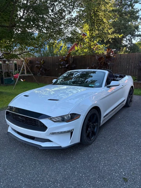 2020 Ford S550 Mustang - Image 10 of 10