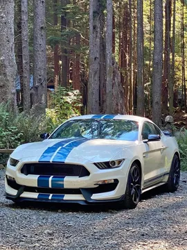 2020 Ford Mustang Shelby GT350 Coupe 2D