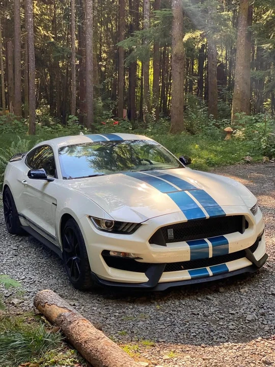 2020 Ford S550 Mustang - Image 5 of 10