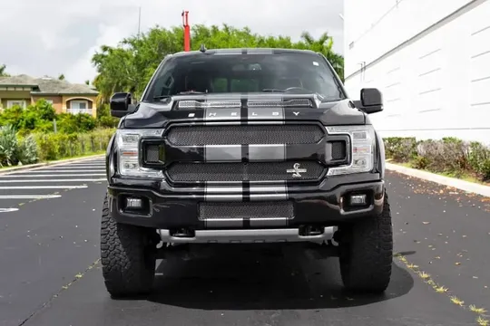 2020 Ford Shelby F-150
