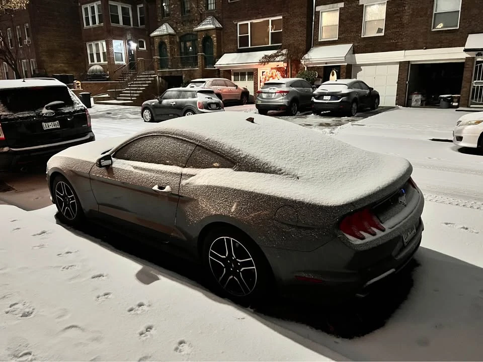 2020 Ford S550 Mustang - Image 3 of 8