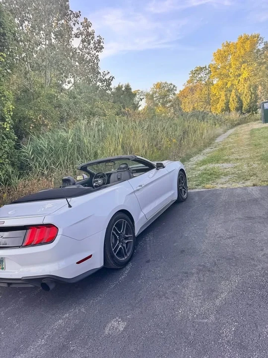 2020 Ford S550 Mustang - Image 2 of 8