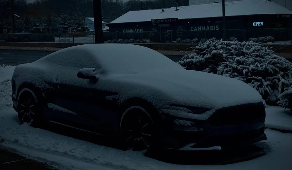 2020 Ford S550 Mustang - Image 15 of 15