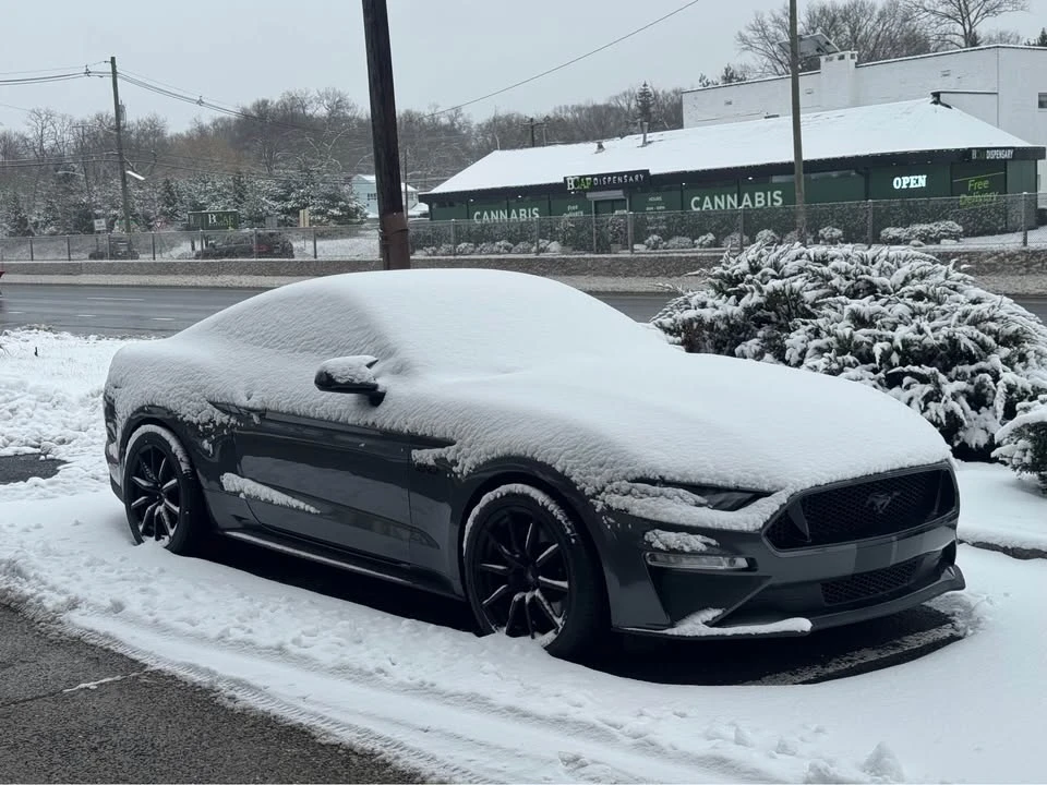 2020 Ford S550 Mustang - Image 14 of 15