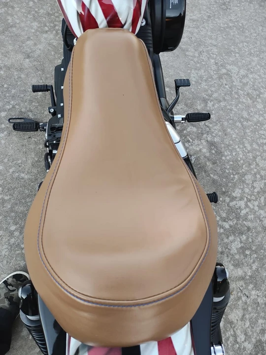 2020 Harley-Davidson Sportster Rubber Mount - Image 18 of 21