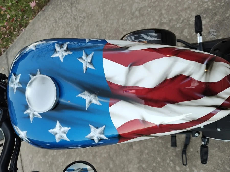 2020 Harley-Davidson Sportster Rubber Mount - Image 17 of 21